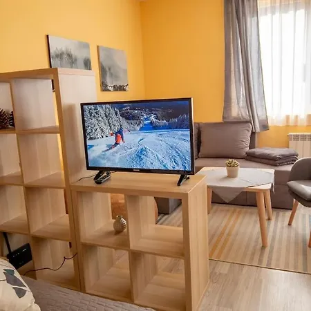 The Place - Studio Borovets-iglika 2 * Borovets
